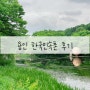 용인 한국민속촌 관람 후기 내돈내산