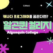 캐나다 공무원유학휴직 알곤퀸컬리지 취업보장 IT전공 (Feat.5월25일 토요일 대면세미나 11시부터)