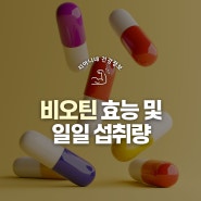 비오틴 효능 및 결핍 증상, 많은 음식, 하루 섭취량 정리