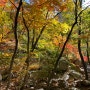 북한산 등산 | 북한산성 코스 10월의 단풍