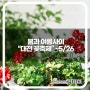 대전 봄꽃 명소 한밭수목원 꽃축제, 봄과 여름 사이
