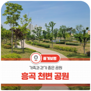 충남 보령 흥곡천변 공원 주말나들이