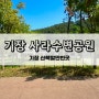 [부산] 기장 주차장있는 산책명소 사라수변공원