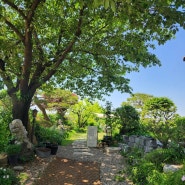 야외 정원이 있는 안성 한옥카페 유유차적 내돈내산 솔직 후기