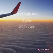 필리핀 세부여행 :: 제주항공 좌석 인천공항 1터미널, 필리핀 입국 세부공항