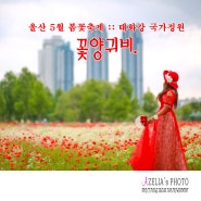 울산 5월 봄꽃축제 :: 태화강 국가정원 꽃양귀비 (2부) 【24년5월11일】