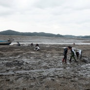 충남 서산 가볼만한곳 중리어촌체험마을 서해안 갯벌체험(바지락)&바다뷰 카라반