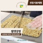 쌀엿강정 만들기 체험 X 숙명여대 외국인 동아리 유링크