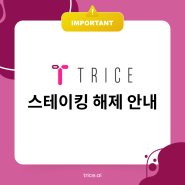 TRICE 스테이킹 해제 안내