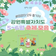 놓치지 마세요~! 강원특별자치도 5~6월 축제 모음(feat. 로컬 20선)