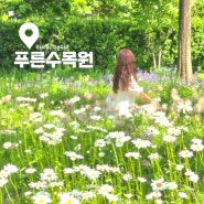5월 6월 서울 가볼만한곳 푸른수목원, 항동철길