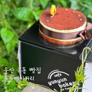 울산 옥동 빵맛집 윤윤베이커리 티라미수케이크