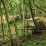 6월 추천 자연휴양림 - 남양주 축령산 자연휴양림