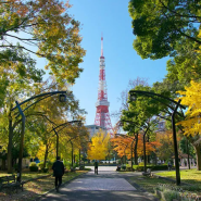 도쿄 관광 산책하기 좋은 도쿄 공원 정원 가볼만한곳