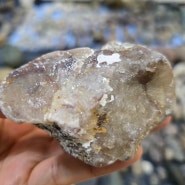 [공지] 포항에서 세계 최초로 희귀 공룡 핑크 다이아몬드 876캐럿이 발견되었습니다. 광협보석갤러리카페 한국광협보석감정원 앵두금 성분분석소 대표 박현철