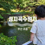 #1 부산 5월 가볼만한곳 아이와 성지곡수원지 산책 잉어구경