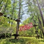 동두천 놀자숲 실외 숲놀이터, 오픈부터 마감까지 즐기기 #2