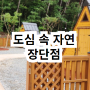 경기도 아이와 갈만한곳, 동탄 휴양림 무봉산자연휴양림 (캠핑 산책로 바베큐)