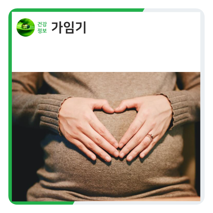 가임기 임신확률 계산법 : 네이버 블로그