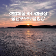 태안 몽산포오토캠핑장 1구역 사이트 갯벌체험 물때 보는 법 준비물