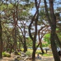 제천 의림지 솔밭공원 피크닉 즐기기 좋은 곳