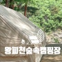 [경북/울진]애견동반캠핑장 "왕피천숲속캠핑장" A1 사이트 후기!!
