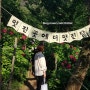 2024년 부산 태종사 수국꽃축제 개최 여부 개화 시기 부산 경남 수국 명소