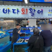 [삼척]오징어회맛집 삼척중앙시장 회포장 '바다회활어' 포장후기
