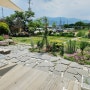 김해 애견동반 카페 야외 마당, 정원이 있는 강아지 맞춤 [해피삐데이]