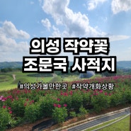 의성 조문국 사적지 5월의 꽃 작약 개화 상황 (5월 11일 기준) 대리리 2호분 순장 재현 고분 전시관