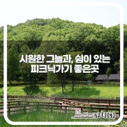 언제든 방문하기 좋은 대전 힐링 명소 '세천근린공원'