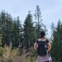 [밴쿠버 한달살기 11] 그라우스마운틴 하이킹 하산곤돌라, 캐나다플레이스 무료 셔틀