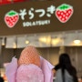 일본여행, 츠키지 장외 시장 구경 및 딸기모찌 즐긴 소라츠키
