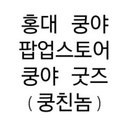 홍대 쿵야 레스토랑즈 팝업스토어 굿즈 털기(인형, 키링, 피규어 등) feat.야채부락리