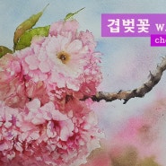 4월의 꽃 겹벚꽃 수채화로 그리기 취미 수채화 _ cherry blossoms watercolor
