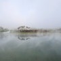 [1년 전의 추억] 물안개 피어올라 몽환적인 분위기 속의 세종호수공원