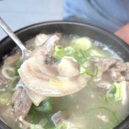 장성) 줄서서 먹는 머리국밥 찐맛집 '사랑가득국밥'