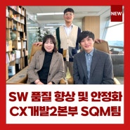 SW 품질 향상 및 안정화, <SW 테스팅 서비스>