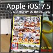 iOS 17.5 업데이트 후 영구 삭제 사진 부활, 오류인가 보안 사고인가?
