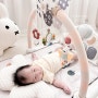 아기체육관 사용시기 신생아 장난감 하베브릭스 국민 육아필수템