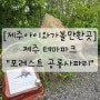 [제주아이와가볼만한곳] 제주테마파크_포레스트공룡사파리