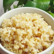 현미밥짓기 100% 현미쌀로만 전기밥솥 현미밥짓는법 비율 다이어트 소분 냉동밥만들기