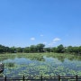 진주 혼자 여행 - 강주 연못