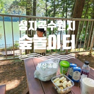 #2 부산 5월 아이와 성지곡수원지 어린이대공원 숲놀이터
