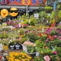 만덕농원 부산 석대화훼단지 인기 꽃집 수련 꽃구경