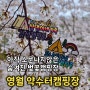 #106. 영월 약수터캠핑장 - 단풍캠으로 유명하지만 벚꽃캠핑 가능한 숨은 벚꽃캠핑장 벚꽃명당추천 가을엔 단풍캠으로 도전!