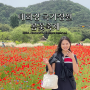 울산여행 코스 울산 5월 태화강 국가정원 봄꽃축제 2024