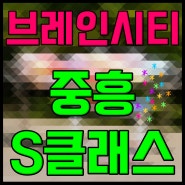 평택 브레인시티 중흥s클래스 gtx 대학병원 호재 잡아라