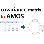 구조방정식, AMOS에서 공분산(Covariance) 행렬을 이용한 분석 방법, 박중희