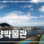 낚린이를 위한 부산낚시포인트 BEST 3 루어낚시 어종 총정리 및 채비 소개(feat 해양박물관 편)